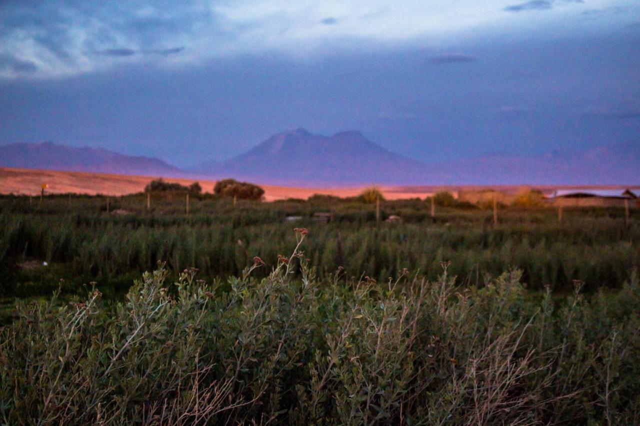 Вілла Sol Del Desierto Chiuchiu Екстер'єр фото